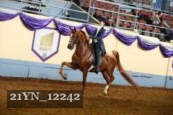 21YN_12242 proof