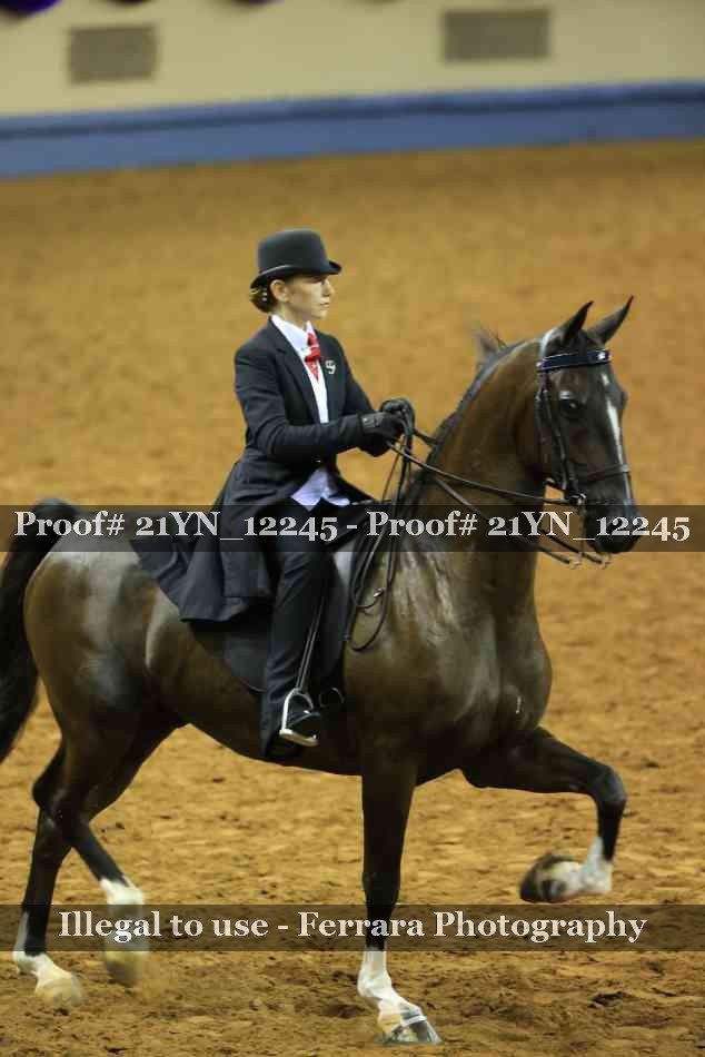 Proof 21YN_12245