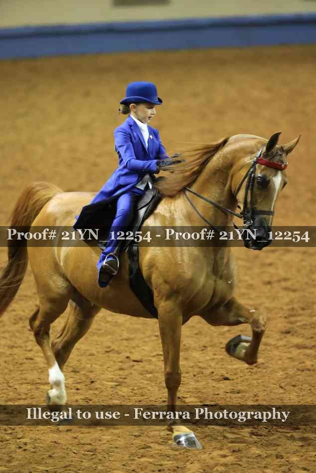 Proof 21YN_12254