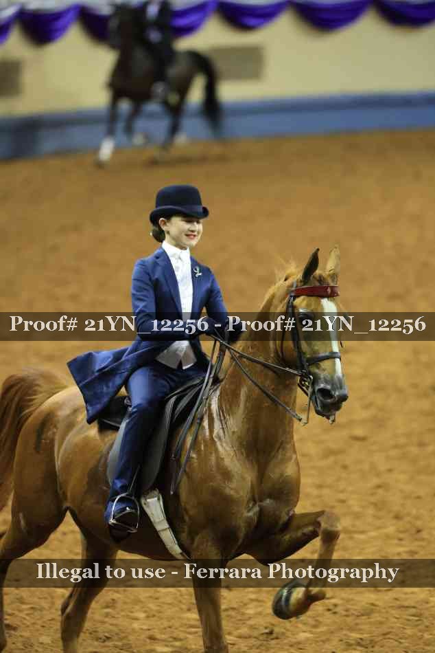 Proof 21YN_12256