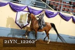 21YN_12262 proof