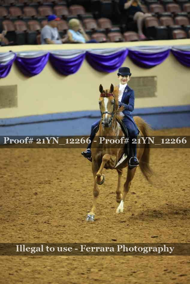 Proof 21YN_12266