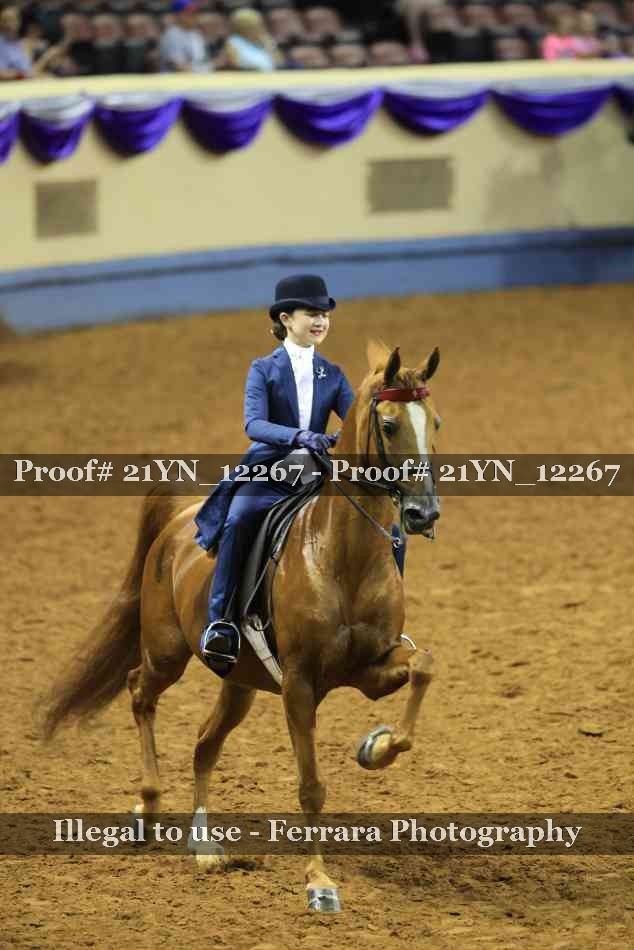 Proof 21YN_12267