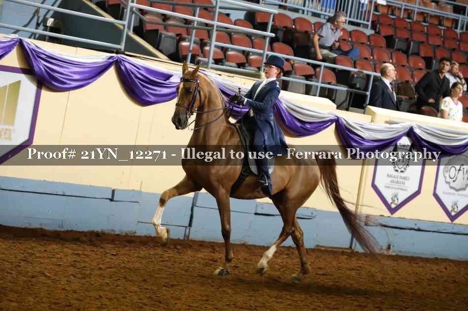Proof 21YN_12271