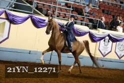 21YN_12271 proof