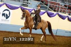 21YN_12282 proof