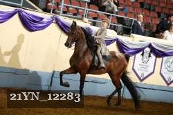 21YN_12283 proof