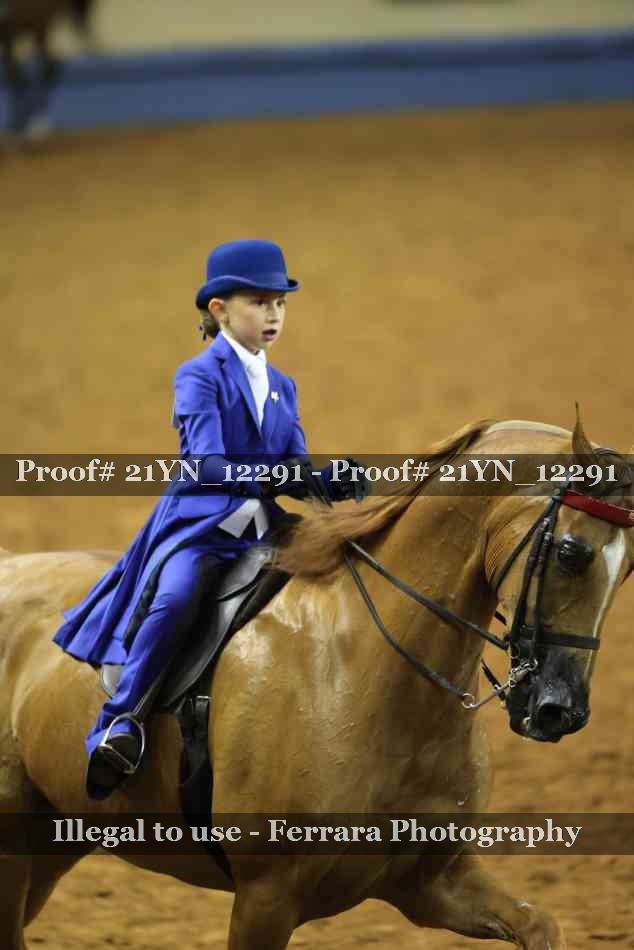 Proof 21YN_12291