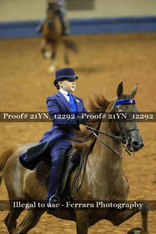 Proof 21YN_12292