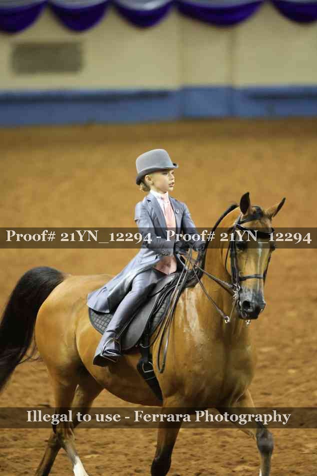 Proof 21YN_12294