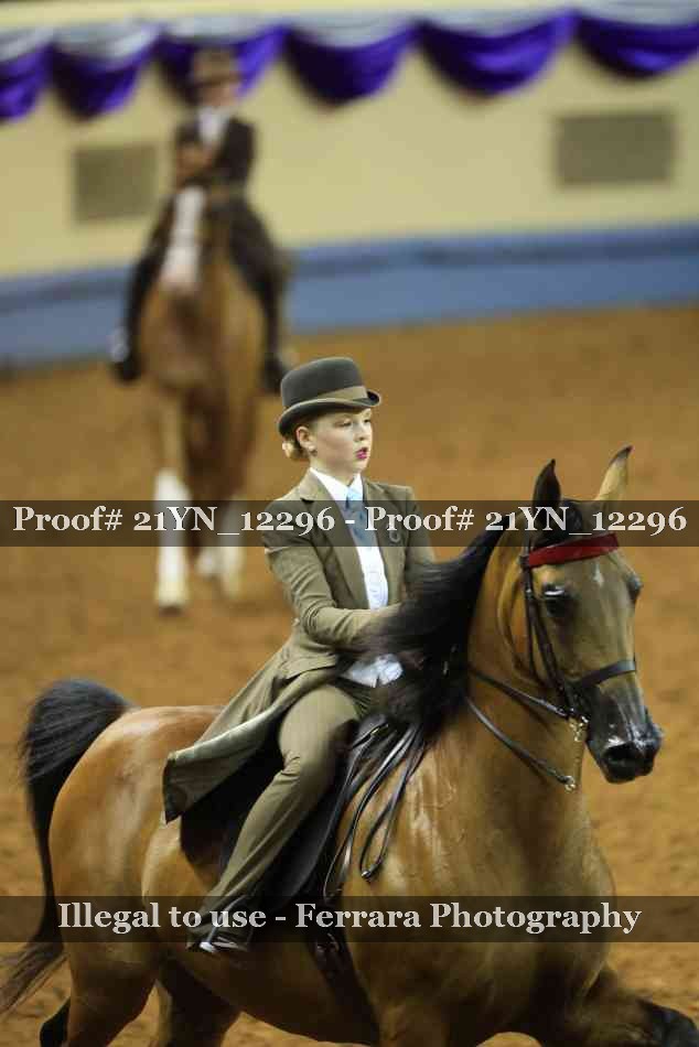Proof 21YN_12296