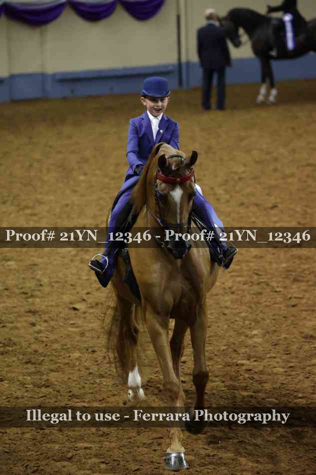 Proof 21YN_12346