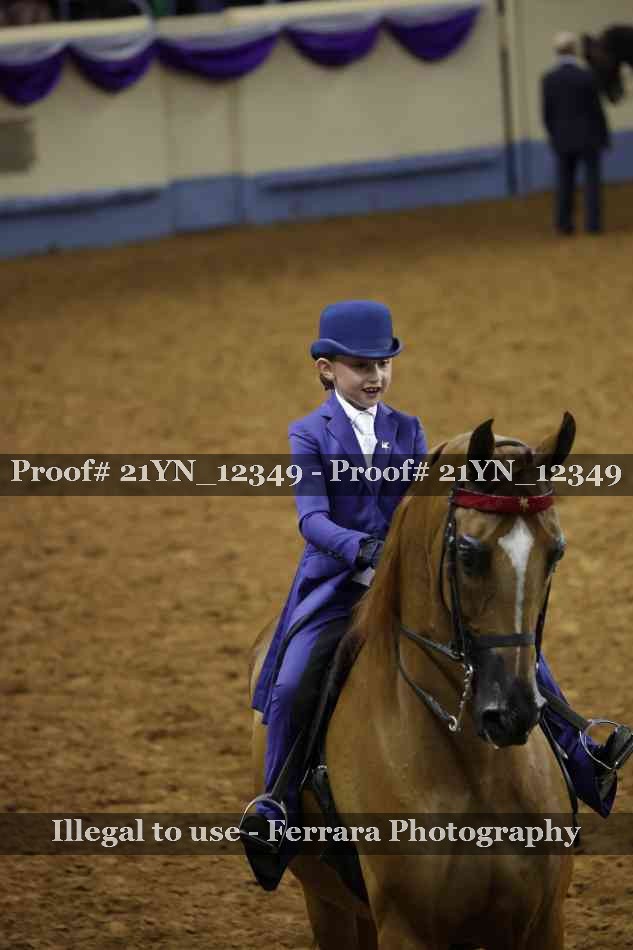 Proof 21YN_12349