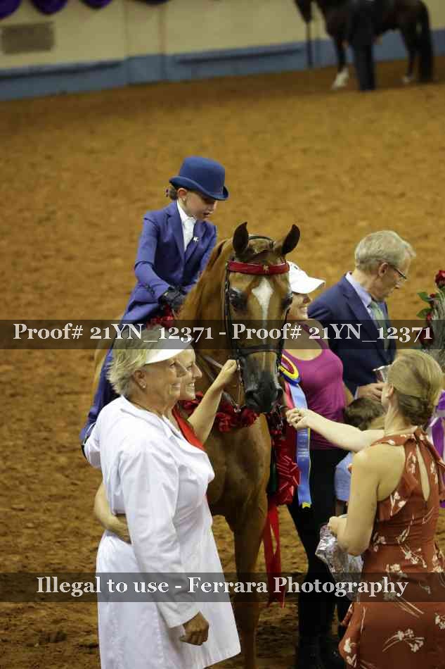 Proof 21YN_12371