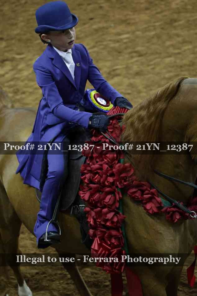 Proof 21YN_12387