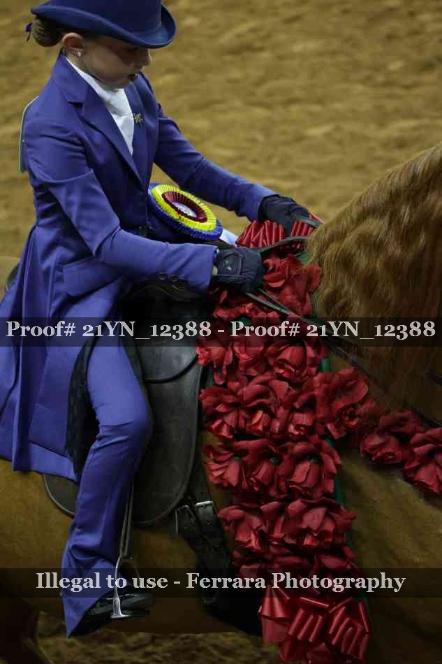Proof 21YN_12388