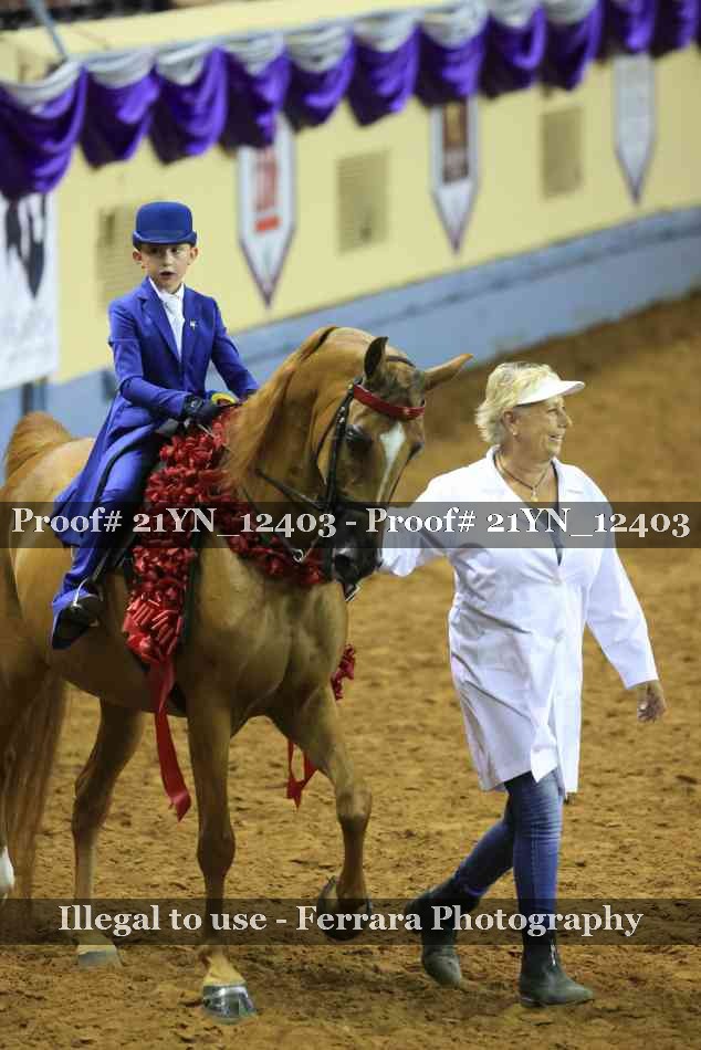 Proof 21YN_12403