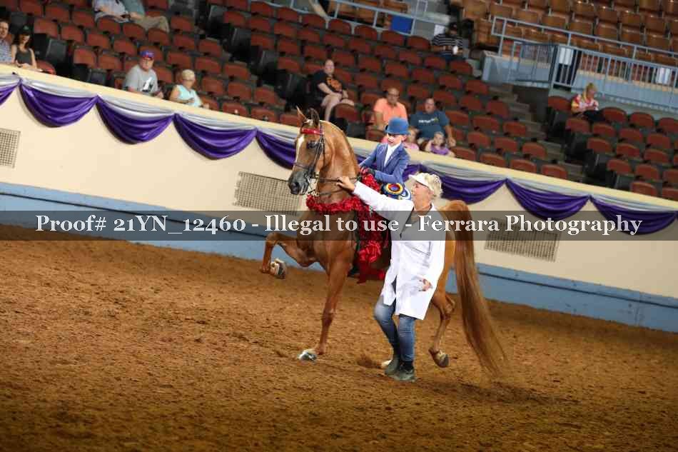 Proof 21YN_12460