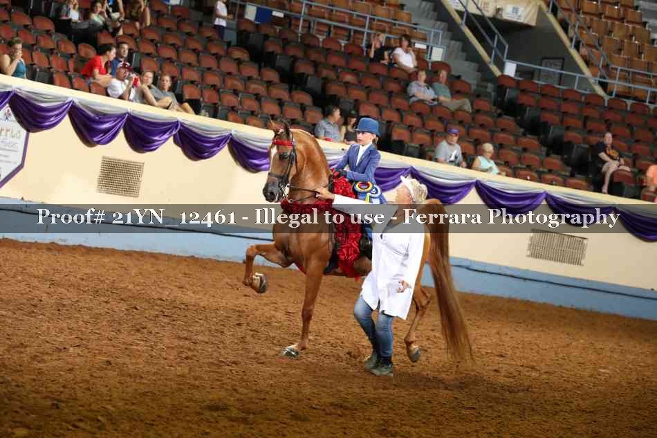 Proof 21YN_12461