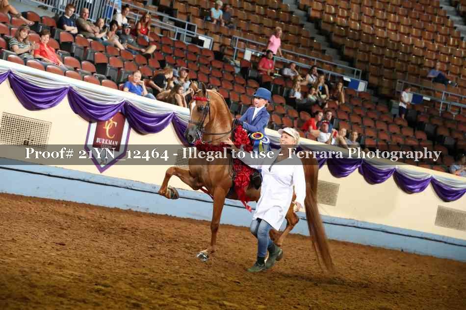 Proof 21YN_12464