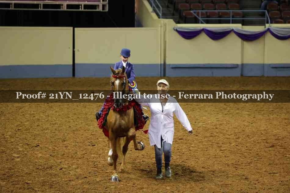 Proof 21YN_12476