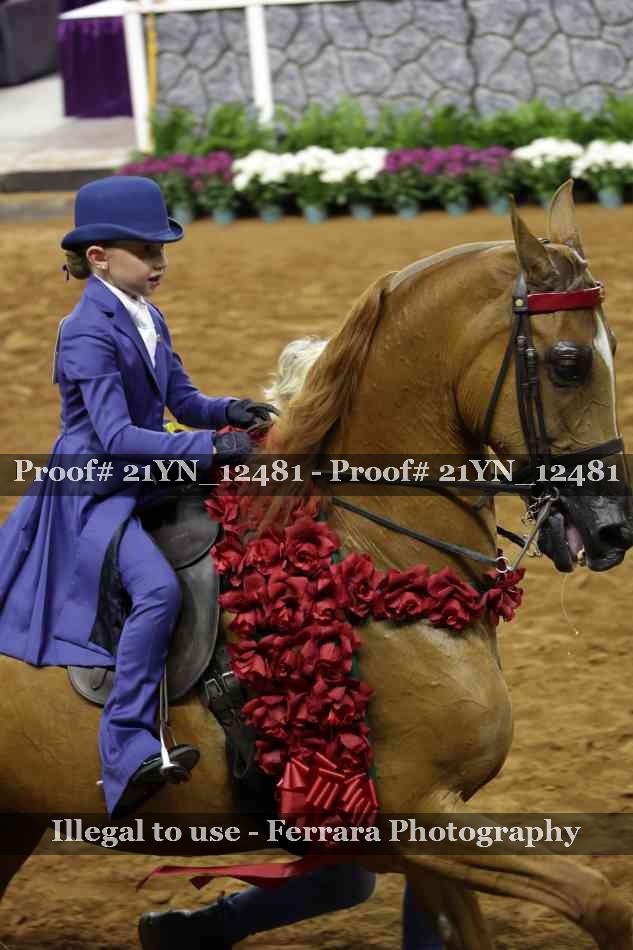 Proof 21YN_12481