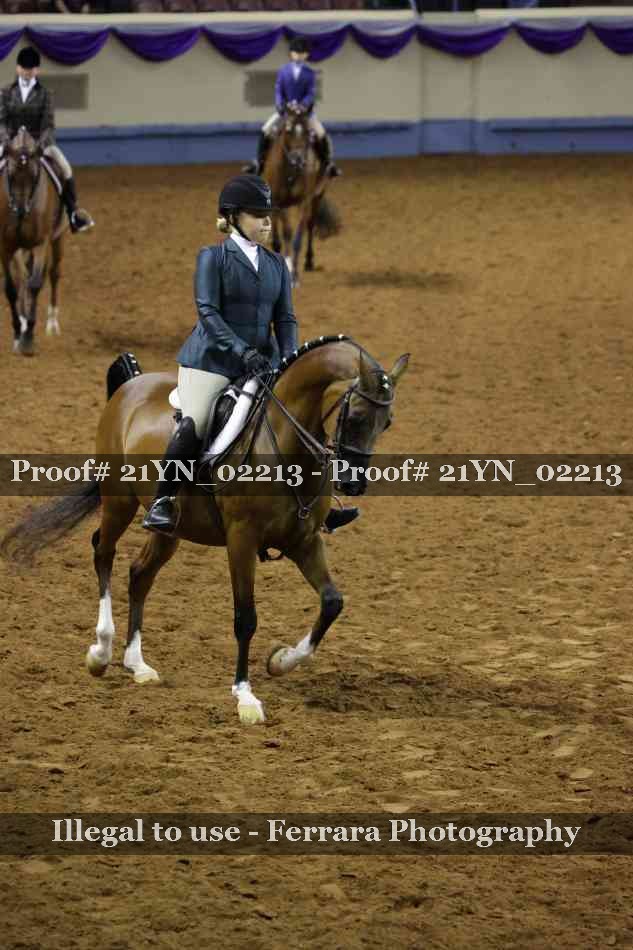 Proof 21YN_02213