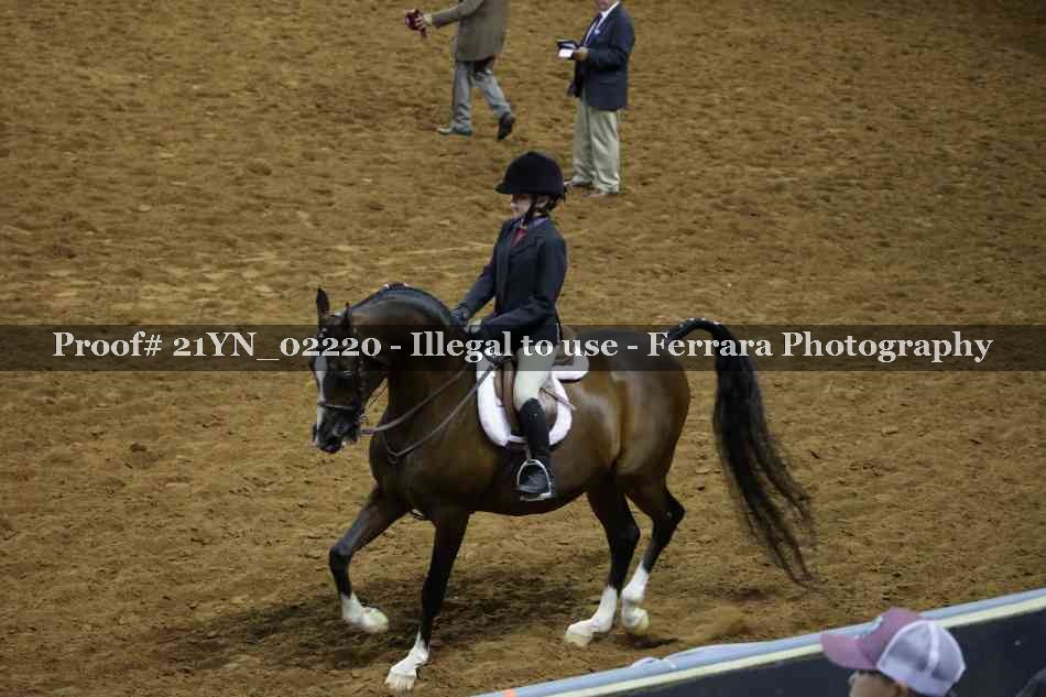 Proof 21YN_02220