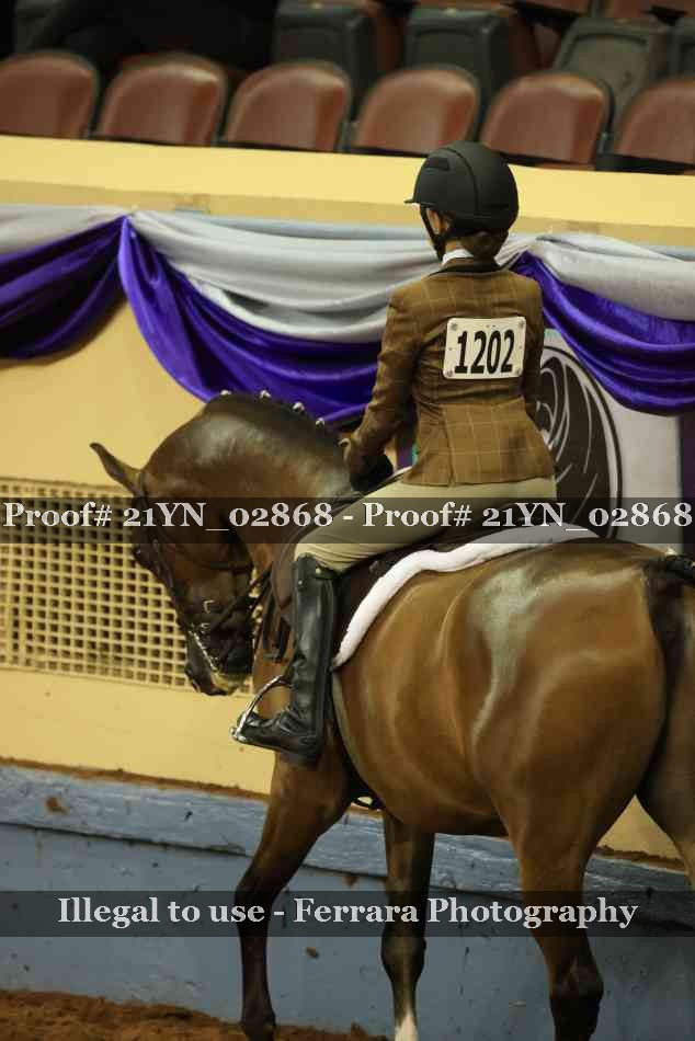 Proof 21YN_02868
