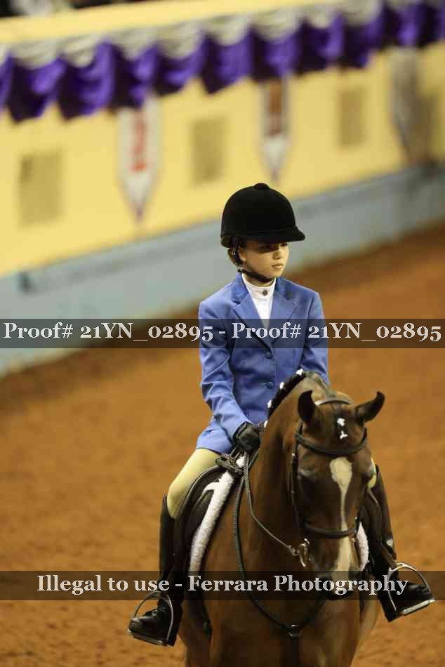 Proof 21YN_02895