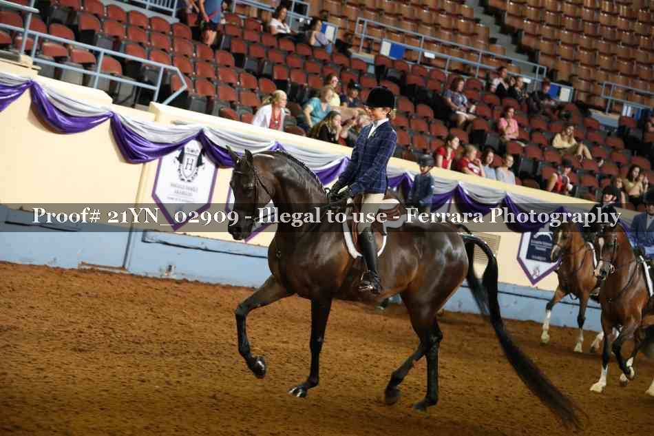 Proof 21YN_02909