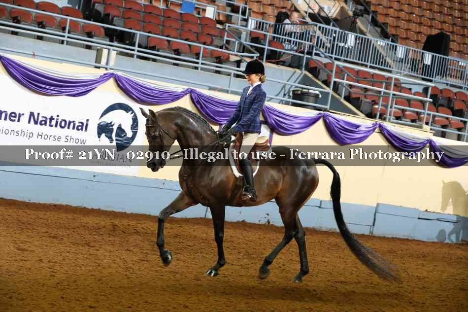 Proof 21YN_02910