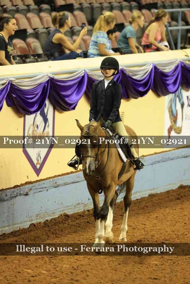Proof 21YN_02921
