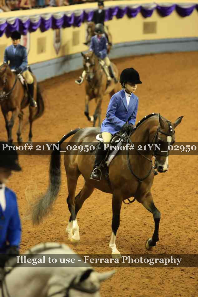 Proof 21YN_02950