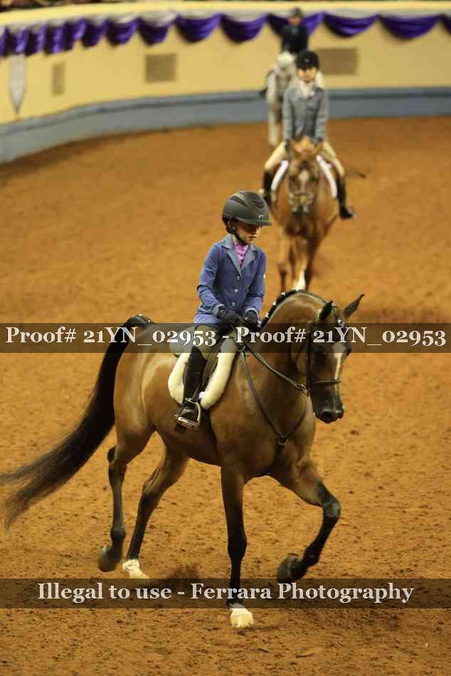 Proof 21YN_02953
