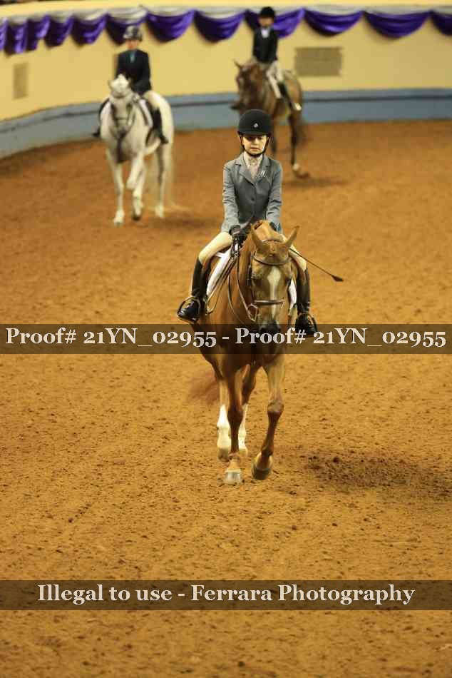 Proof 21YN_02955