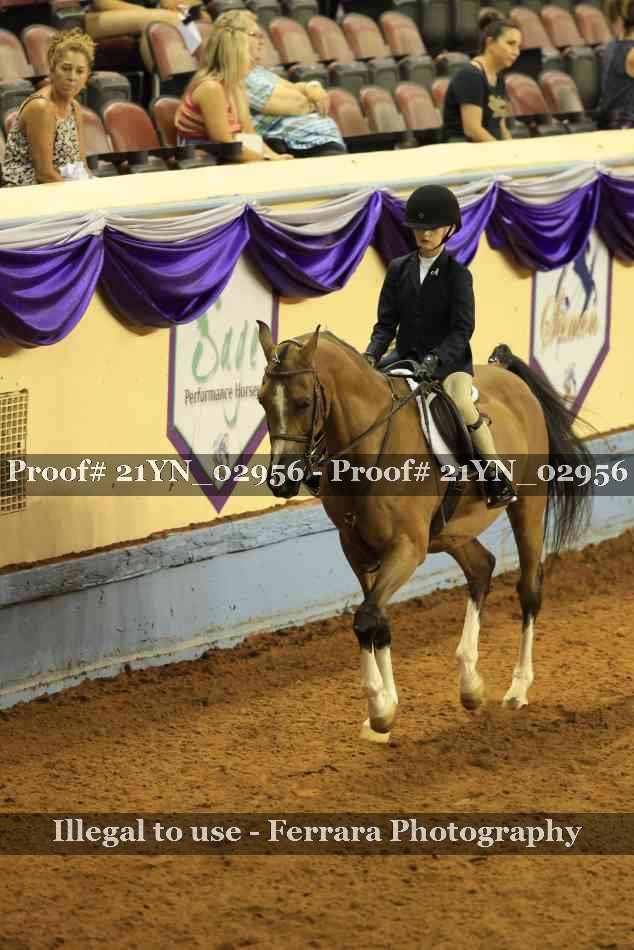 Proof 21YN_02956