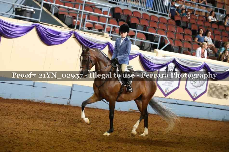 Proof 21YN_02957