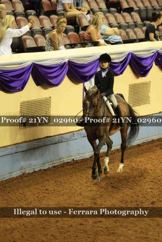 Proof 21YN_02960