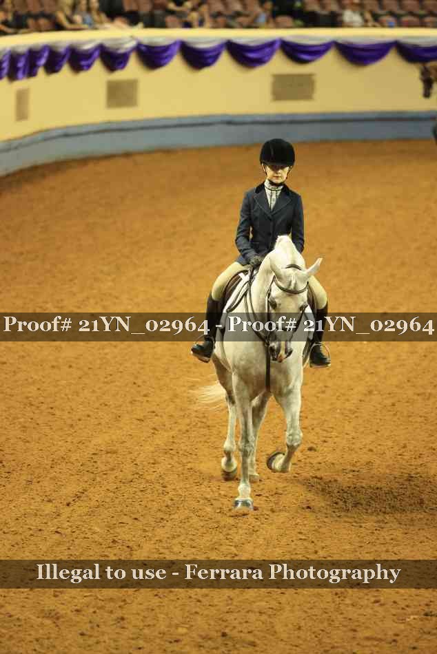 Proof 21YN_02964