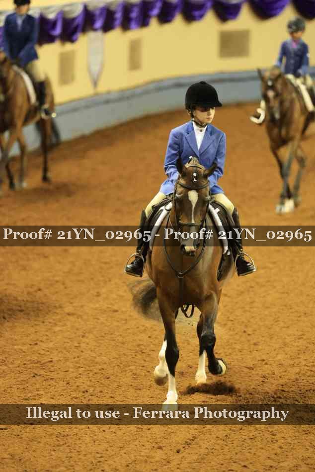 Proof 21YN_02965