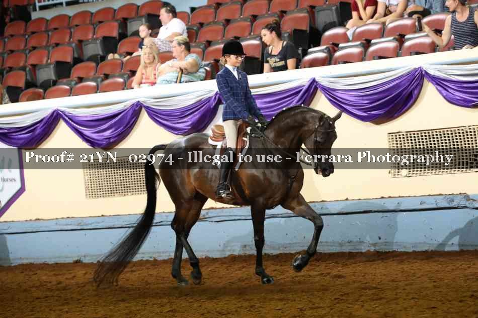 Proof 21YN_02974
