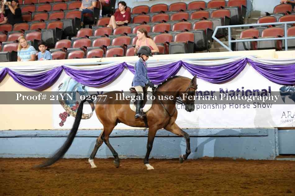 Proof 21YN_02977