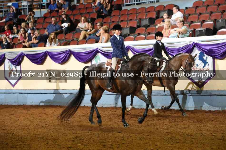 Proof 21YN_02983