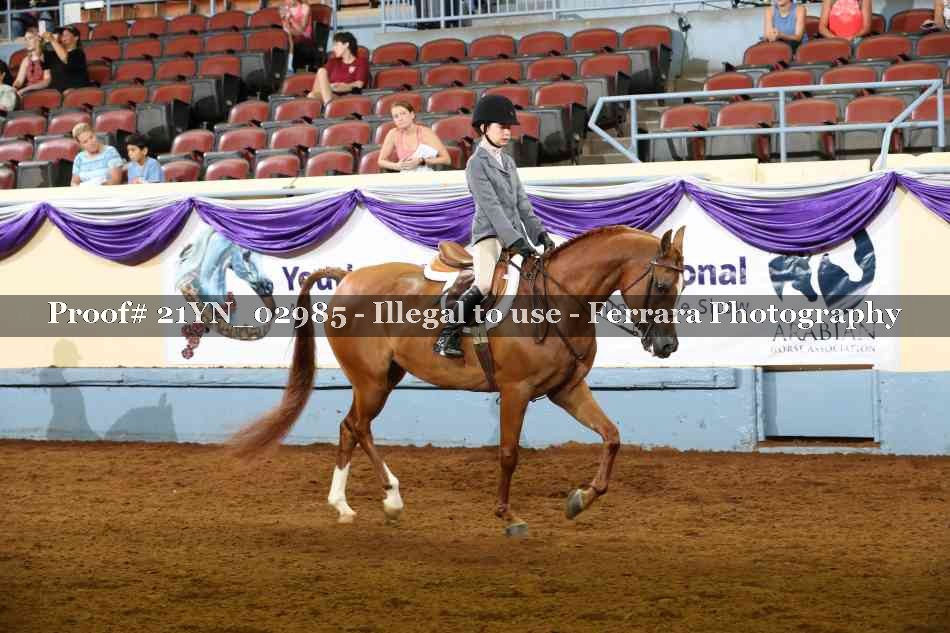 Proof 21YN_02985