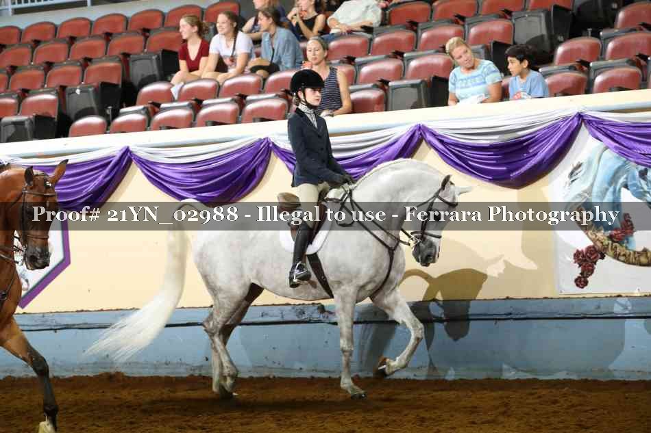 Proof 21YN_02988