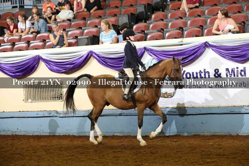 Proof 21YN_02990