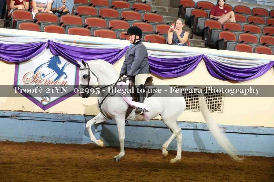 Proof 21YN_02995