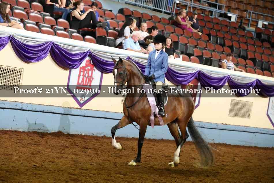 Proof 21YN_02996