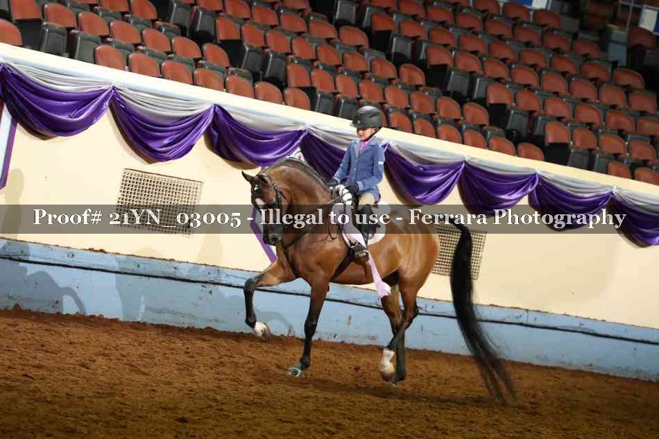 Proof 21YN_03005